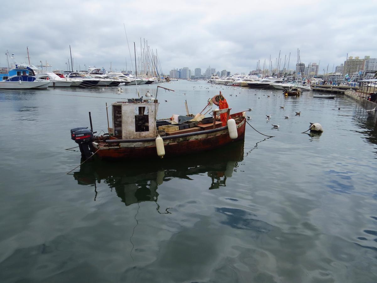 Los Sargos Punta del Este Buitenkant foto